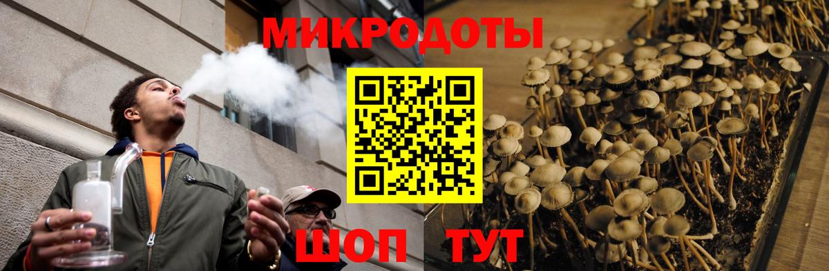 Псилоцибиновые грибы Psilocybine cubensis  наркота  Аксай  Галлюциногенные грибы прущие грибы  Вход с VPN 