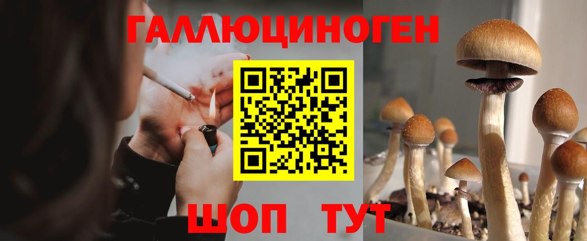 Псилоцибиновые грибы ЛСД Аксай